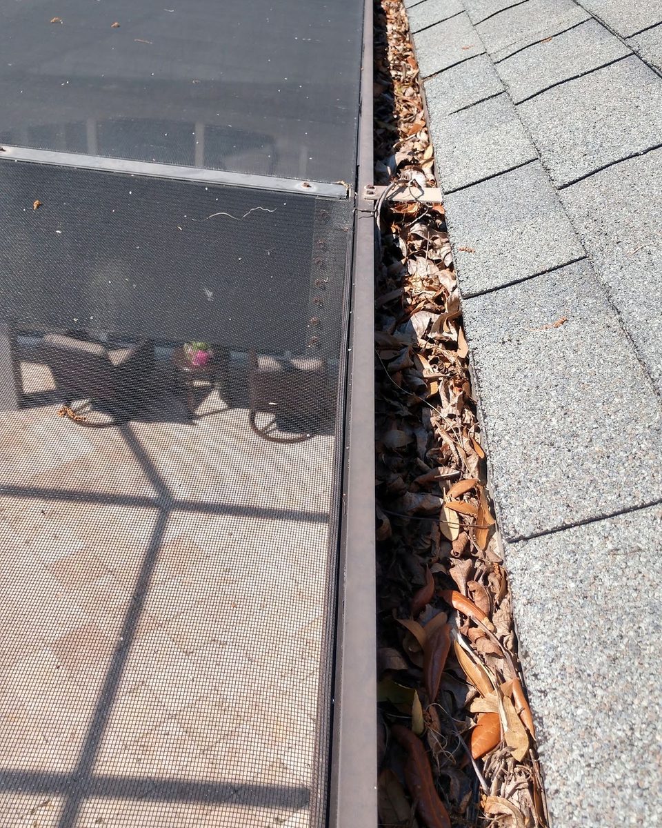 A gutter along a shingle roof packed with leaves