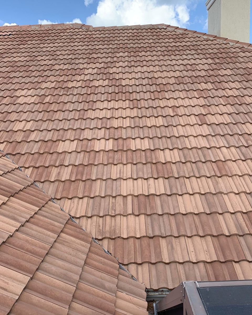 The same tile roof after a soft wash
