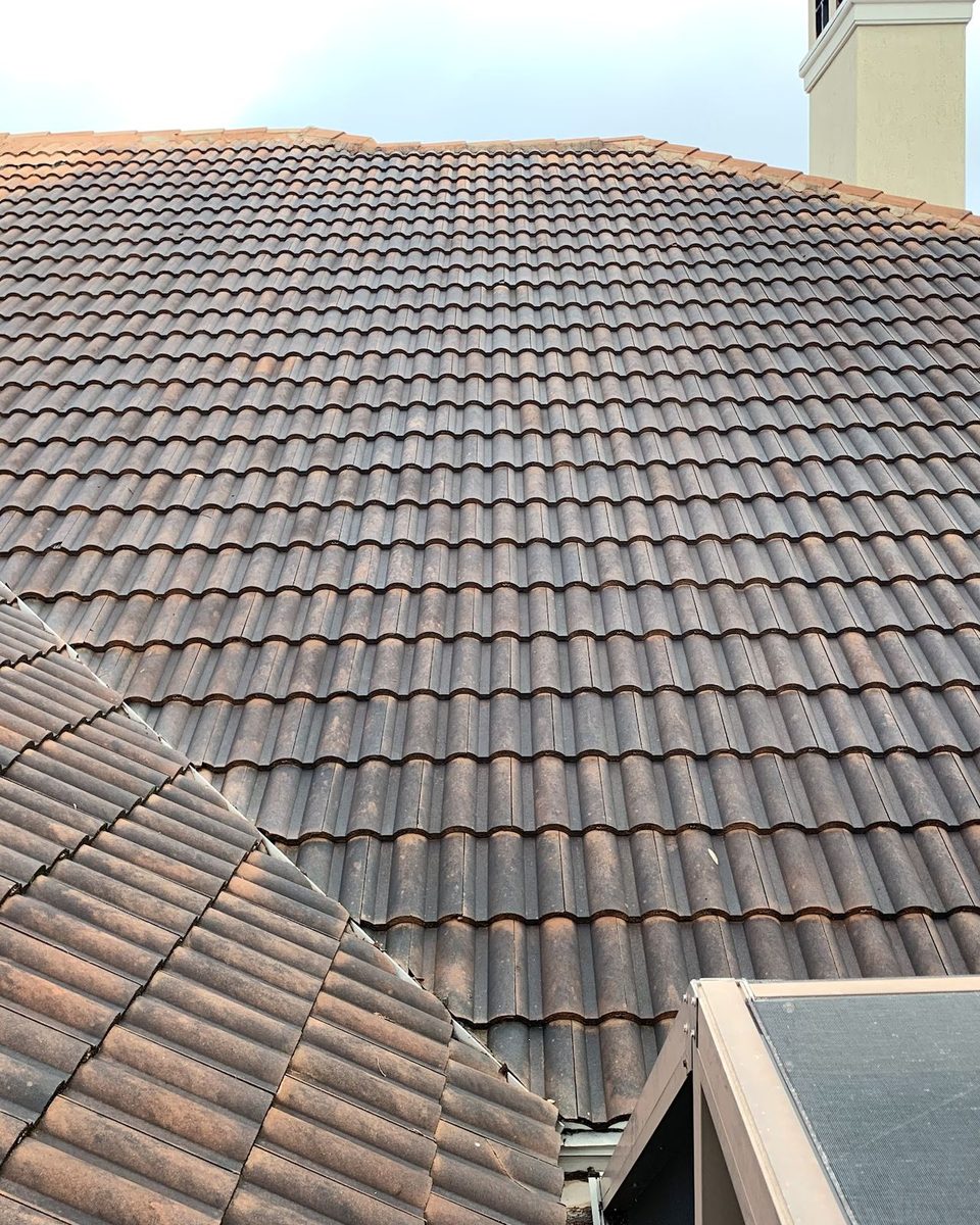 A tile roof darkened with black mold and algae
