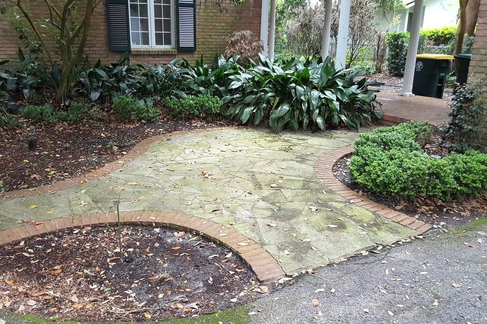 A flagstone patio green with algae