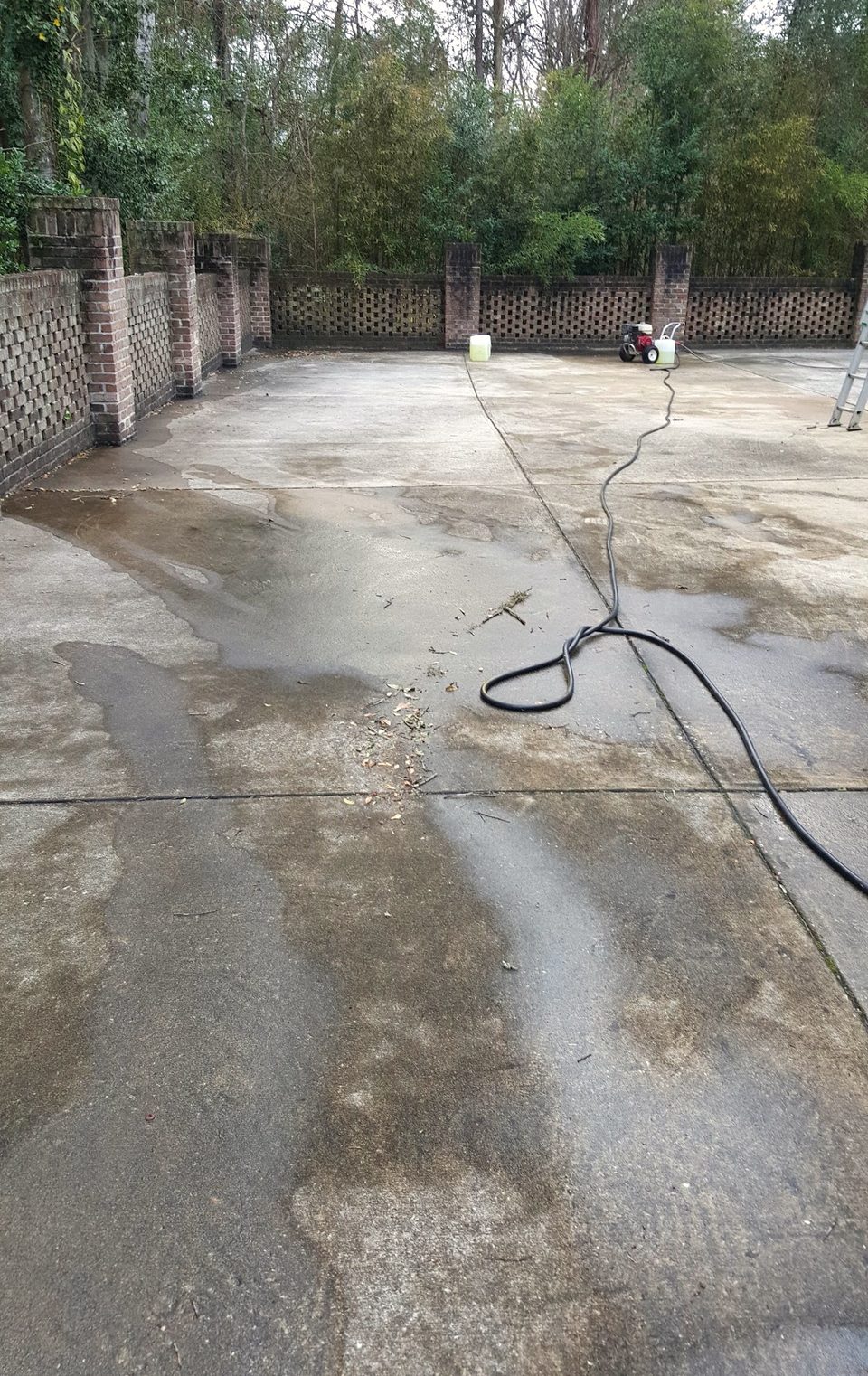 A long concrete driveway in the middle of a wash: the washed lanes light, the rest still dark with mildew, a hose across it