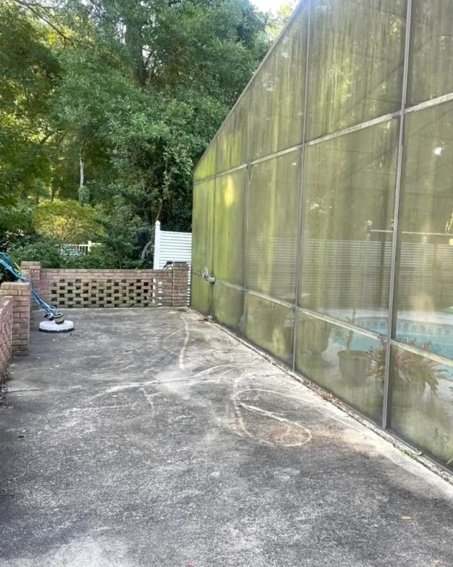 A pool screen enclosure beside a concrete patio, the screens green with mildew and the concrete gray and streaked