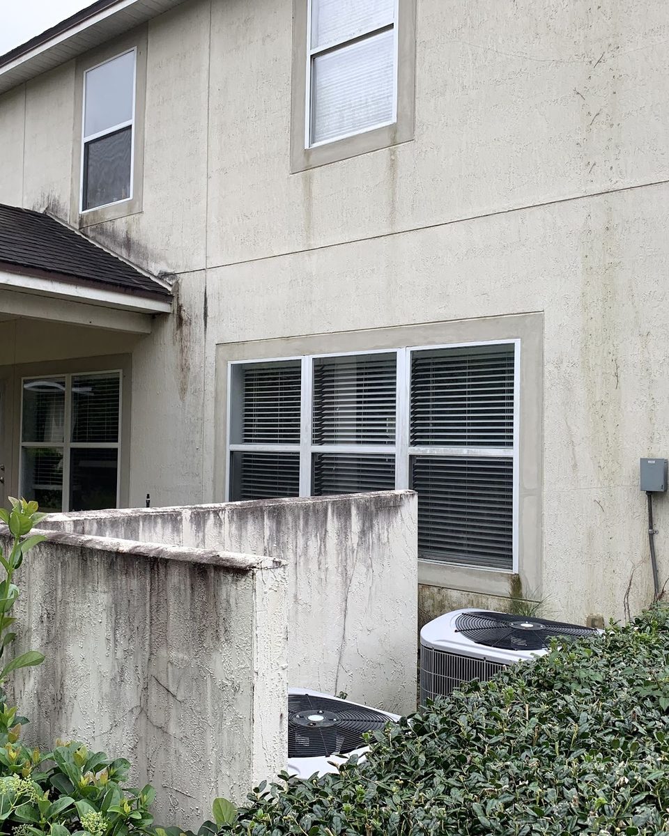 The back of a two-story stucco house, the garden wall black with mildew
