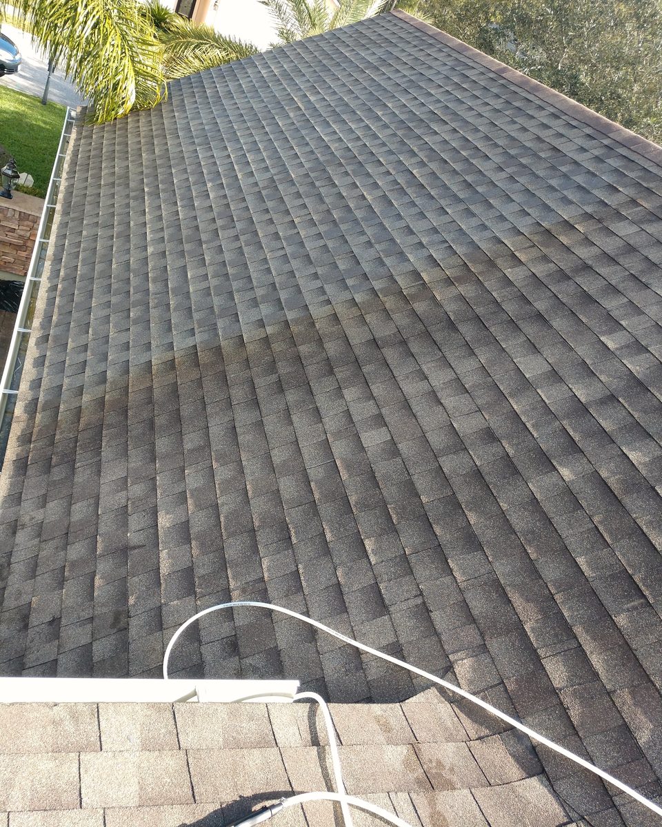 A shingle roof partway through a soft wash, the washed rows lighter than the rest