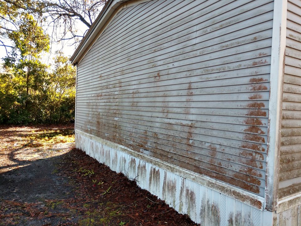Vinyl siding streaked with Florida mildew, photographed before a soft wash